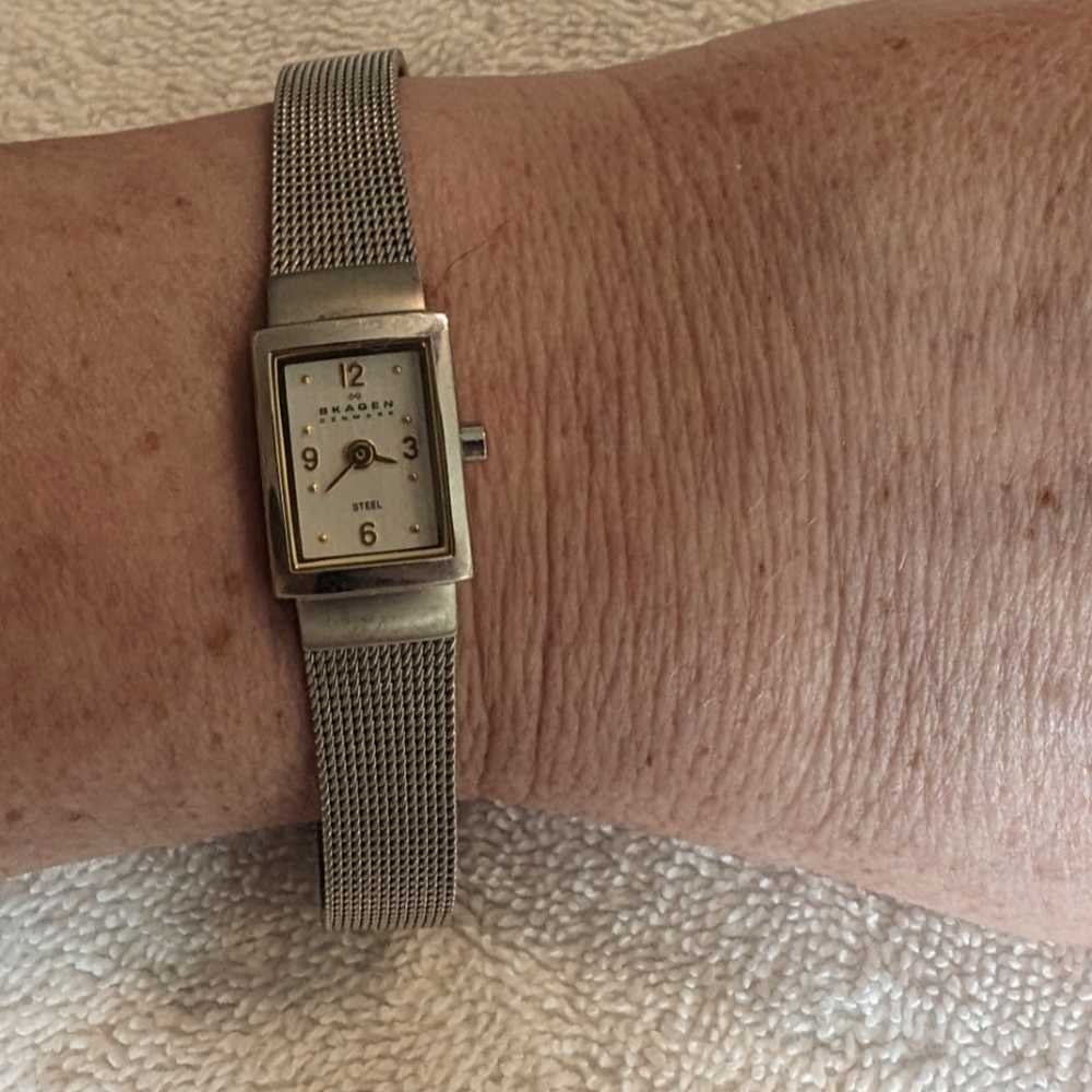 Women’s Skagen Watch 490SGS